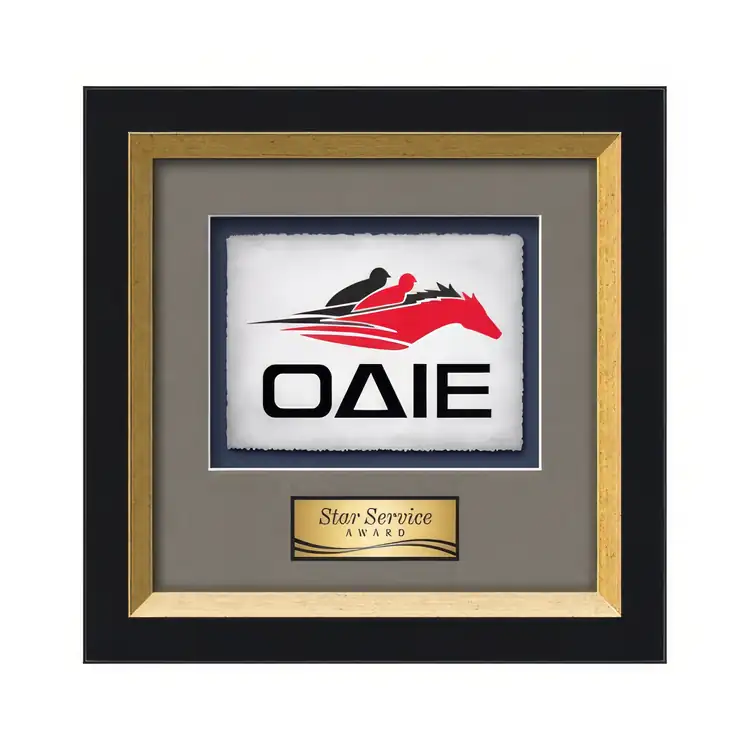 Waterleaf Omni Multicolor on Artisan Paper Framed Award #7