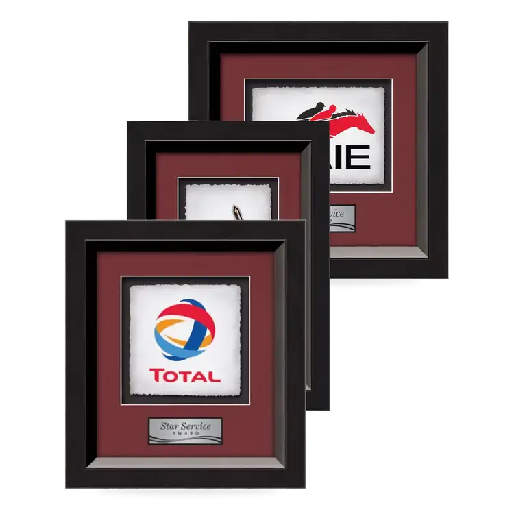 Waterleaf Omni Multicolor on Artisan Paper Framed Award