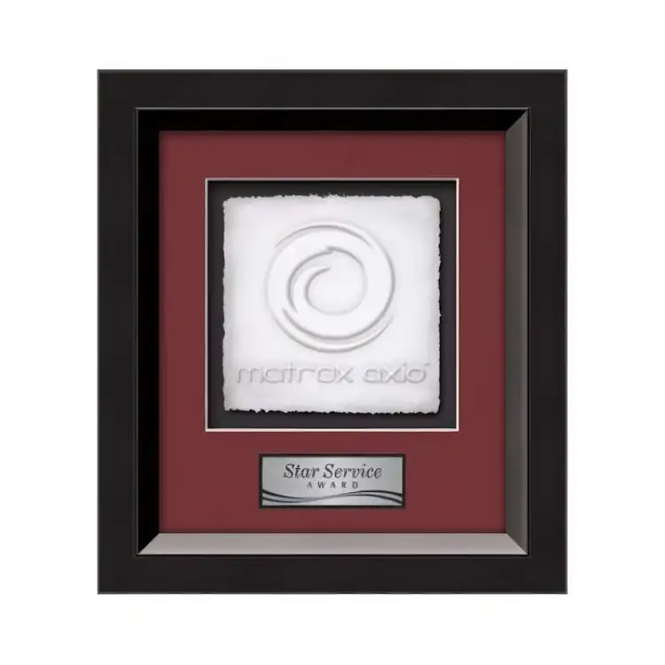 Waterleaf Omni Cast Paper Framed Award #3