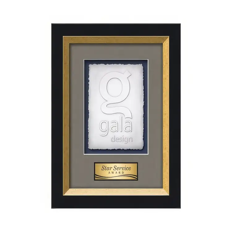 Waterleaf Omni Cast Paper Framed Award #5