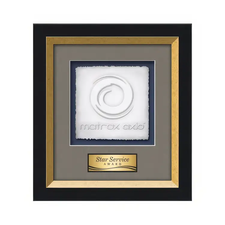 Waterleaf Omni Cast Paper Framed Award #6