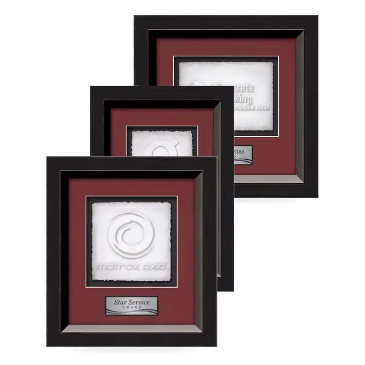 Waterleaf Omni Cast Paper Framed Award