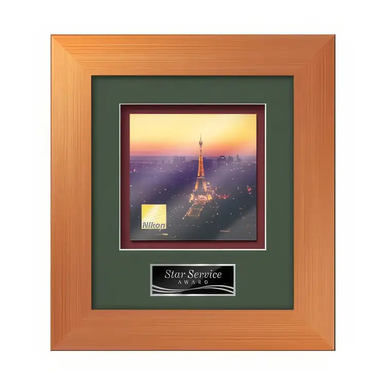 Waterleaf Premier Multicolor on Metal Framed Award #5