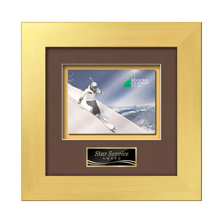 Waterleaf Premier Multicolor on Metal Framed Award #8