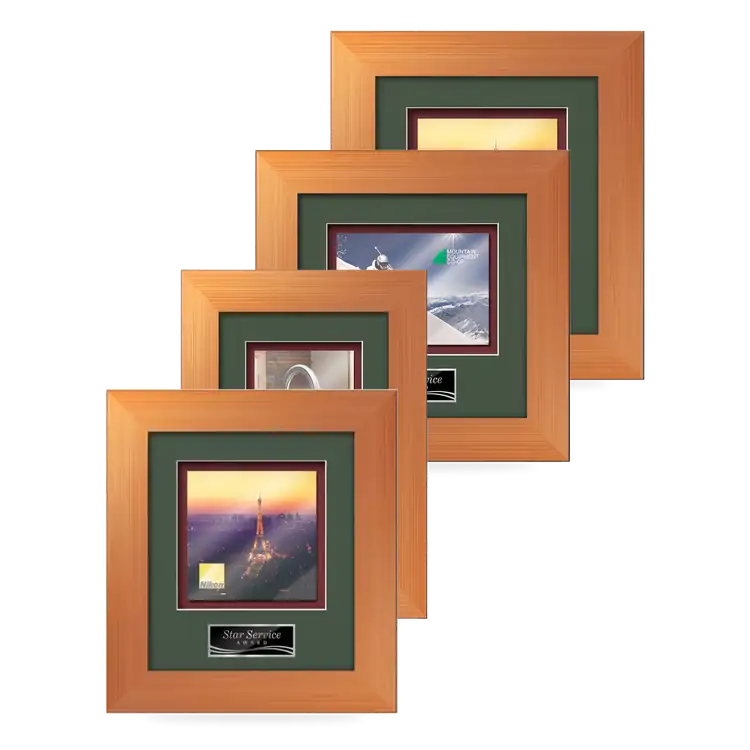 Waterleaf Premier Multicolor on Metal Framed Award
