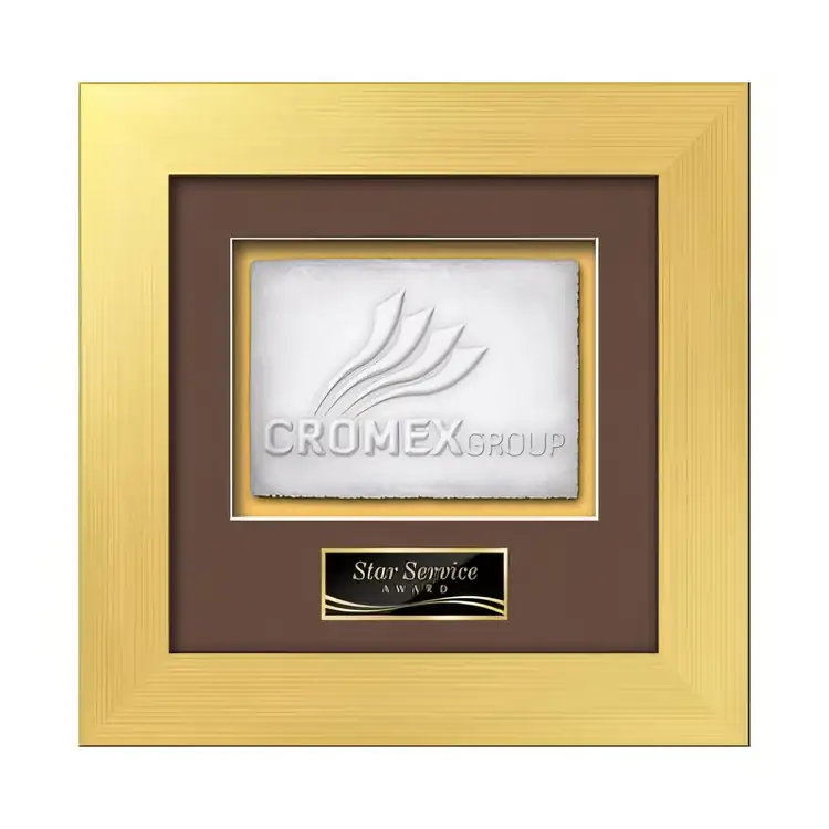 Waterleaf Premier Cast Paper Framed Award #10