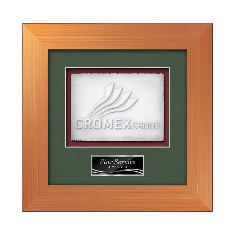 Waterleaf Premier Cast Paper Framed Award #6