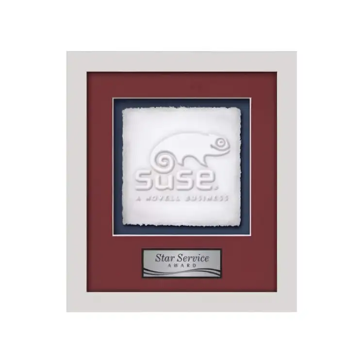 Waterleaf Primrose Cast Paper Framed Award #11