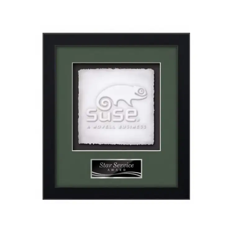 Waterleaf Primrose Cast Paper Framed Award #3