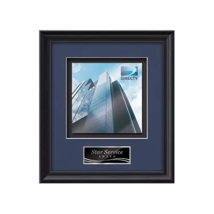 Waterleaf Raven Multicolor on Metal Framed Award #7