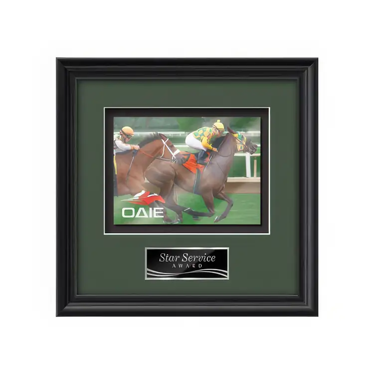Waterleaf Raven Multicolor on Metal Framed Award #8