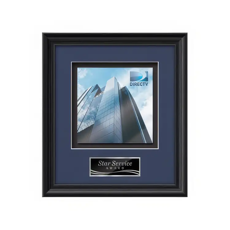 Waterleaf Raven Multicolor on Metal Framed Award #9