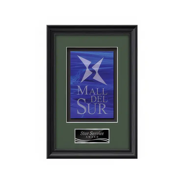 Waterleaf Raven Stained Glass Framed Award #2