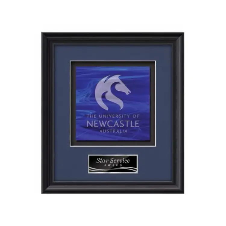Waterleaf Raven Stained Glass Framed Award #3