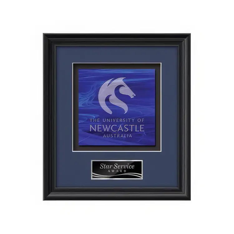 Waterleaf Raven Stained Glass Framed Award #5