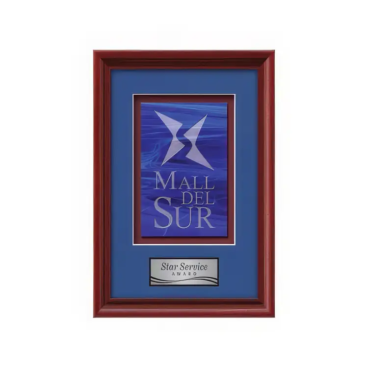 Waterleaf Raven Stained Glass Framed Award #6