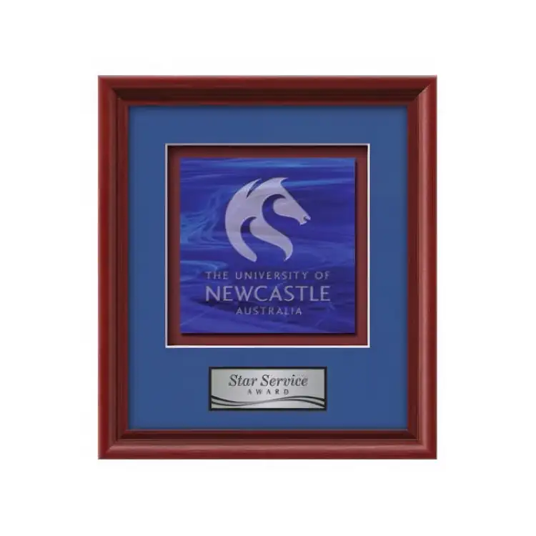 Waterleaf Raven Stained Glass Framed Award #7