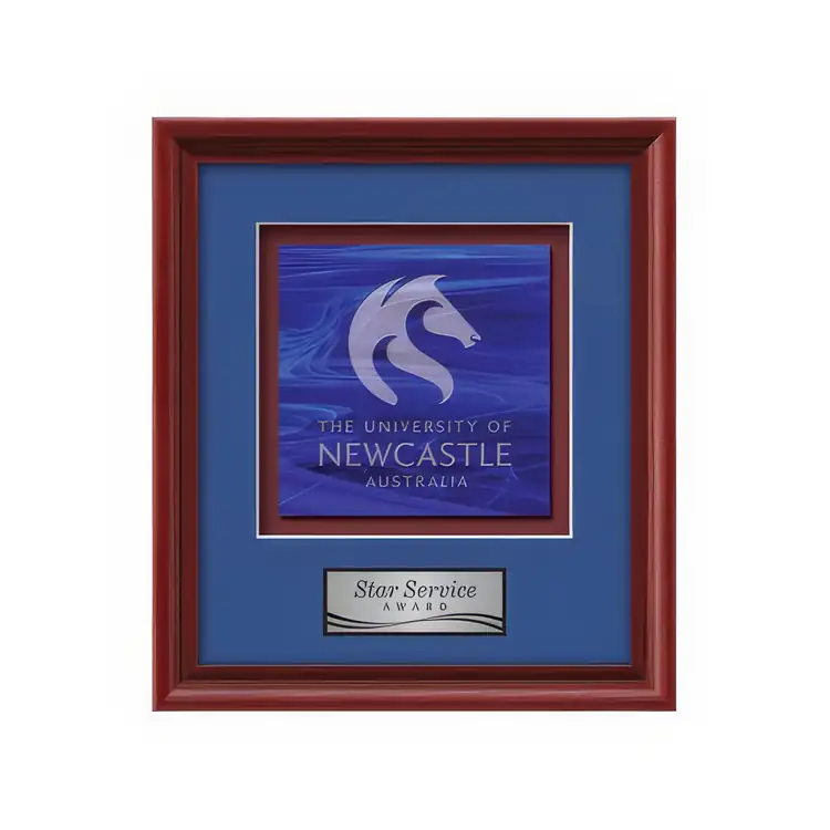Waterleaf Raven Stained Glass Framed Award #9