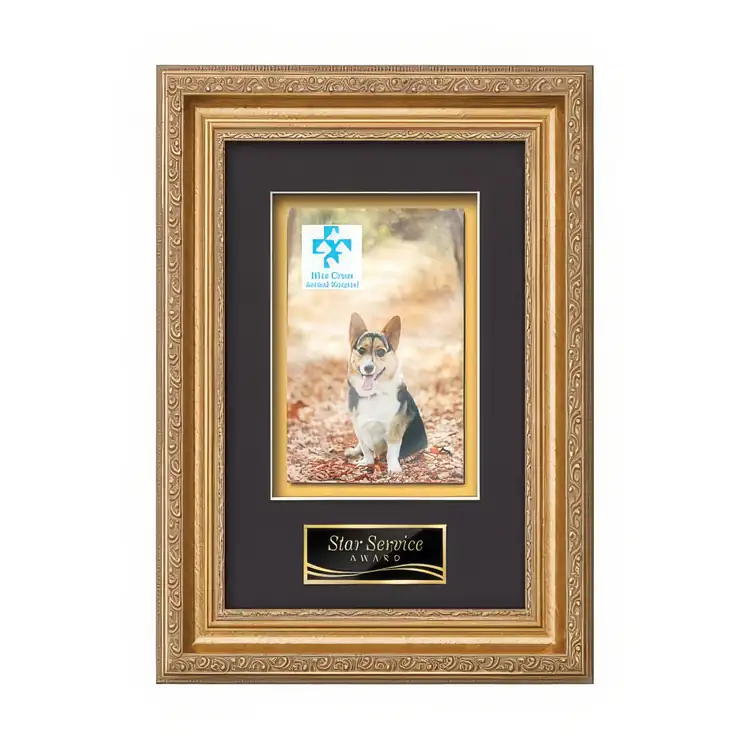 Waterleaf Regal Multicolor on Metal Framed Award #2