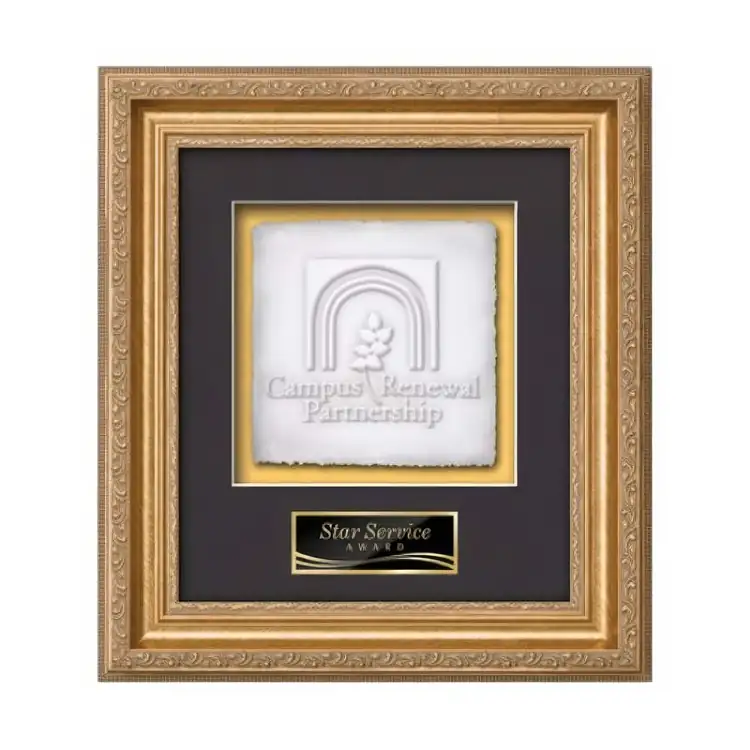 Waterleaf Regal Cast Paper Framed Award #3