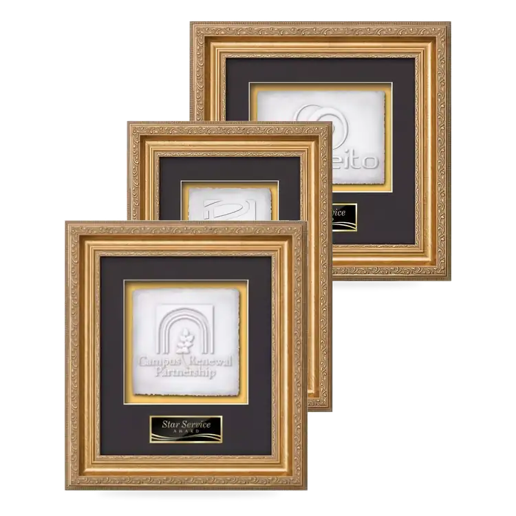 Waterleaf Regal Cast Paper Framed Award