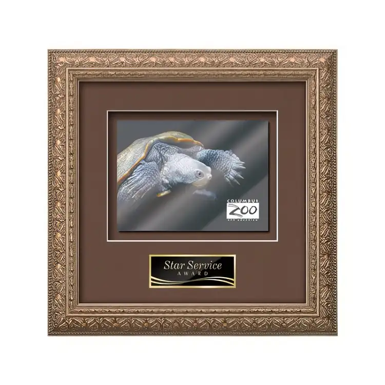 Waterleaf Romagna Multicolor on Metal Framed Award #4