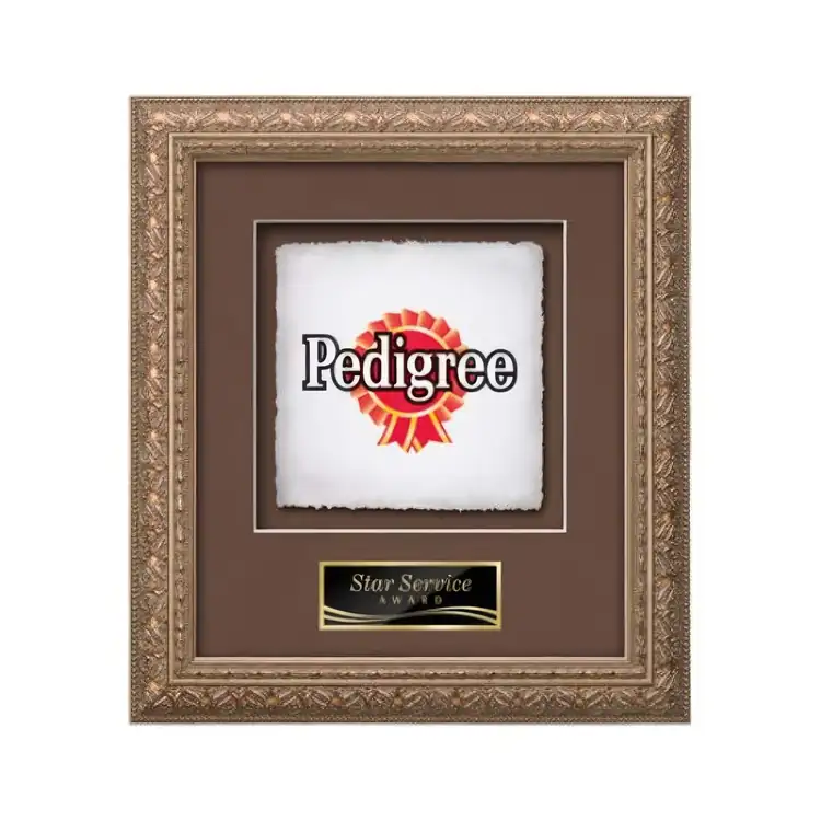 Plaque encadrée Waterleaf Romagna Multicolore sur papier artisanal #3