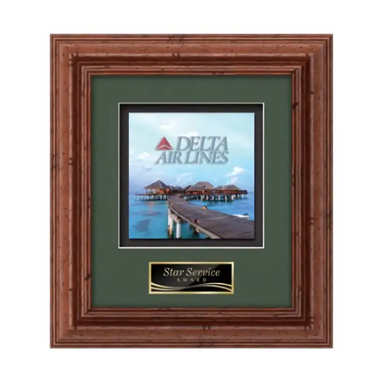 Waterleaf Terrene Multicolor on Metal Framed Award #11