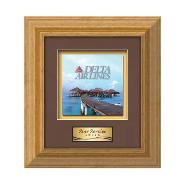 Waterleaf Terrene Multicolor on Metal Framed Award #3