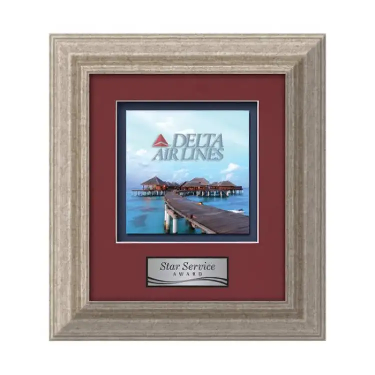 Waterleaf Terrene Multicolor on Metal Framed Award #7