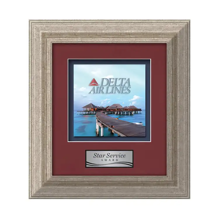 Waterleaf Terrene Multicolor on Metal Framed Award #9