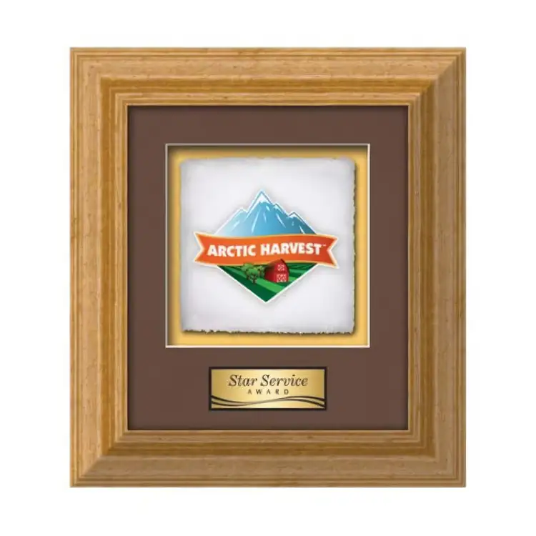 Waterleaf Terrene Multicolor on Artisan Paper Framed Award #11