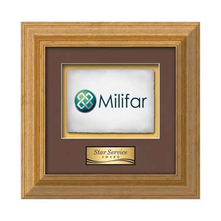 Waterleaf Terrene Multicolor on Artisan Paper Framed Award #12