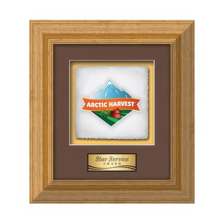 Waterleaf Terrene Multicolor on Artisan Paper Framed Award #13