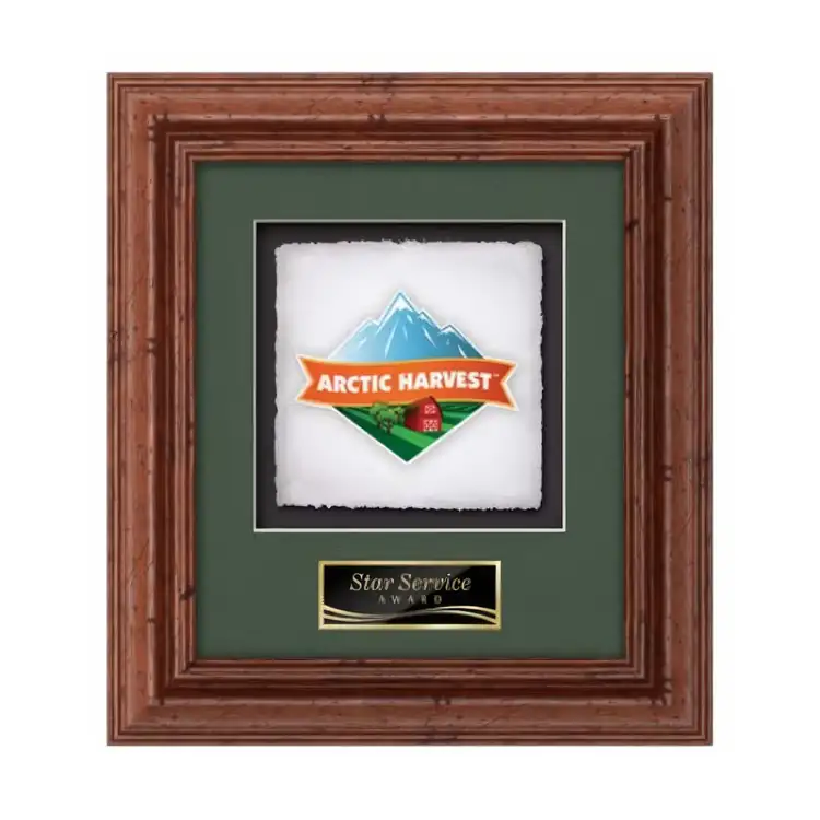 Waterleaf Terrene Multicolor on Artisan Paper Framed Award #3