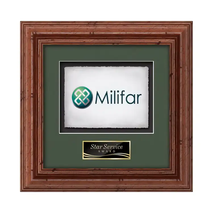 Waterleaf Terrene Multicolor on Artisan Paper Framed Award #4