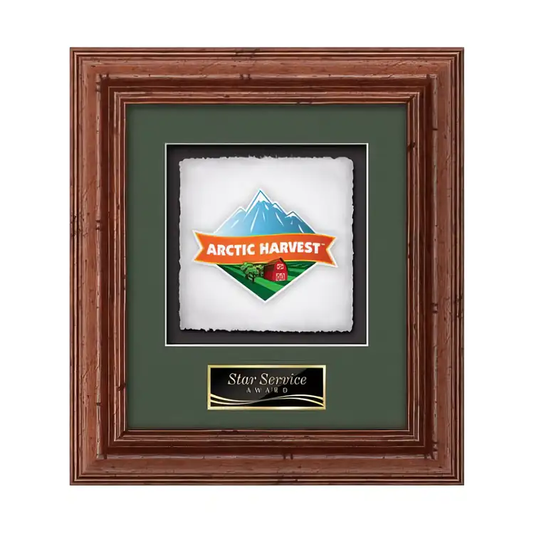 Waterleaf Terrene Multicolor on Artisan Paper Framed Award #5