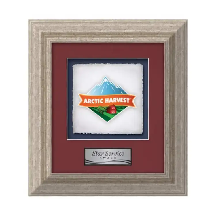 Waterleaf Terrene Multicolor on Artisan Paper Framed Award #7