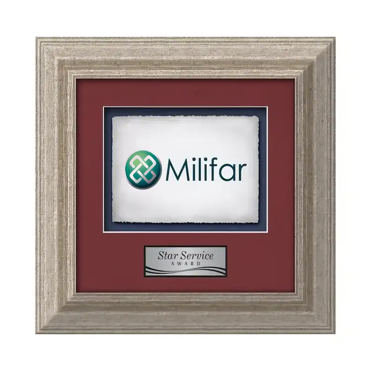 Waterleaf Terrene Multicolor on Artisan Paper Framed Award #8