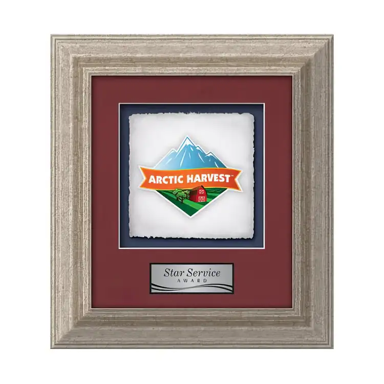 Waterleaf Terrene Multicolor on Artisan Paper Framed Award #9