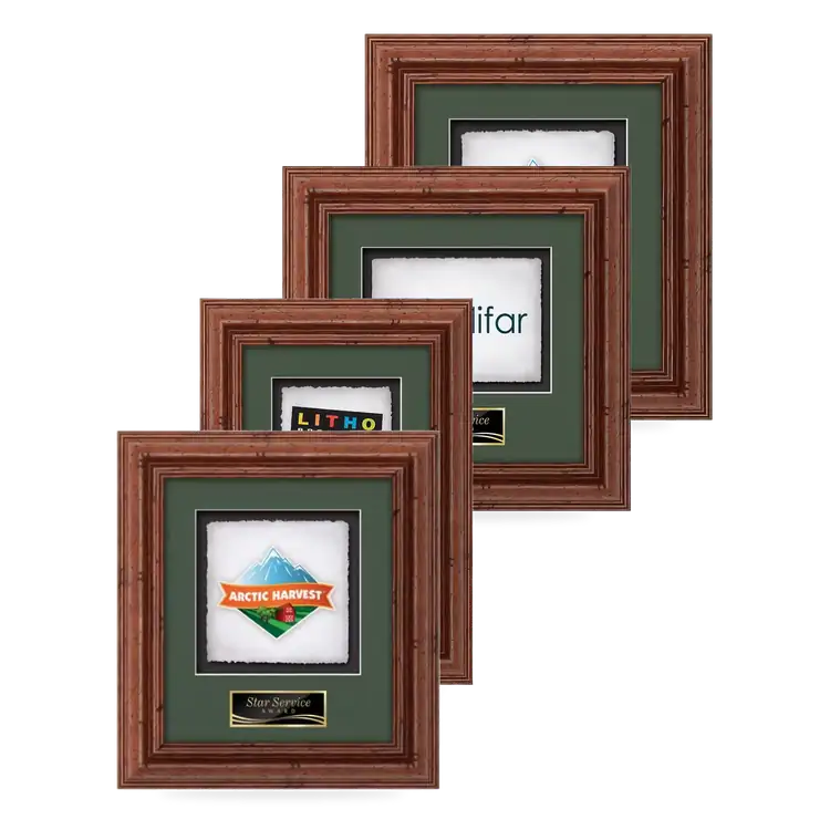 Waterleaf Terrene Multicolor on Artisan Paper Framed Award