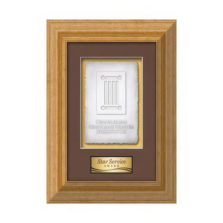 Waterleaf Terrene Cast Paper Framed Award #2