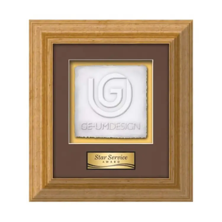 Waterleaf Terrene Cast Paper Framed Award #3