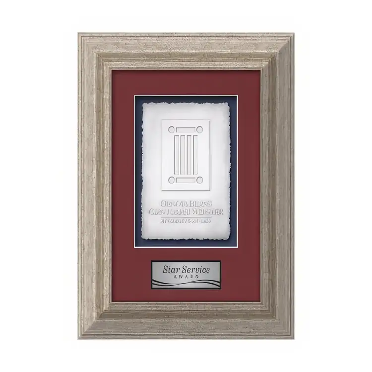 Waterleaf Terrene Cast Paper Framed Award #5