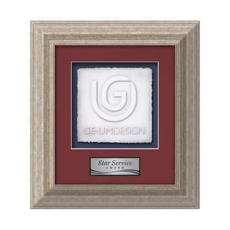Waterleaf Terrene Cast Paper Framed Award #6