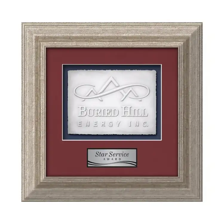 Waterleaf Terrene Cast Paper Framed Award #7