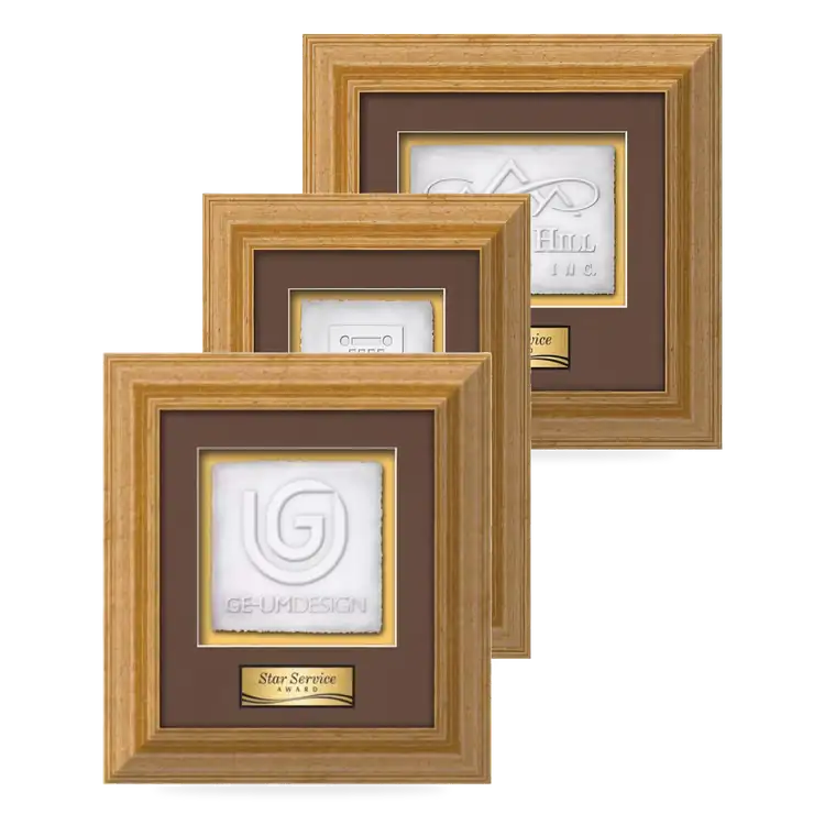 Waterleaf Terrene Cast Paper Framed Award