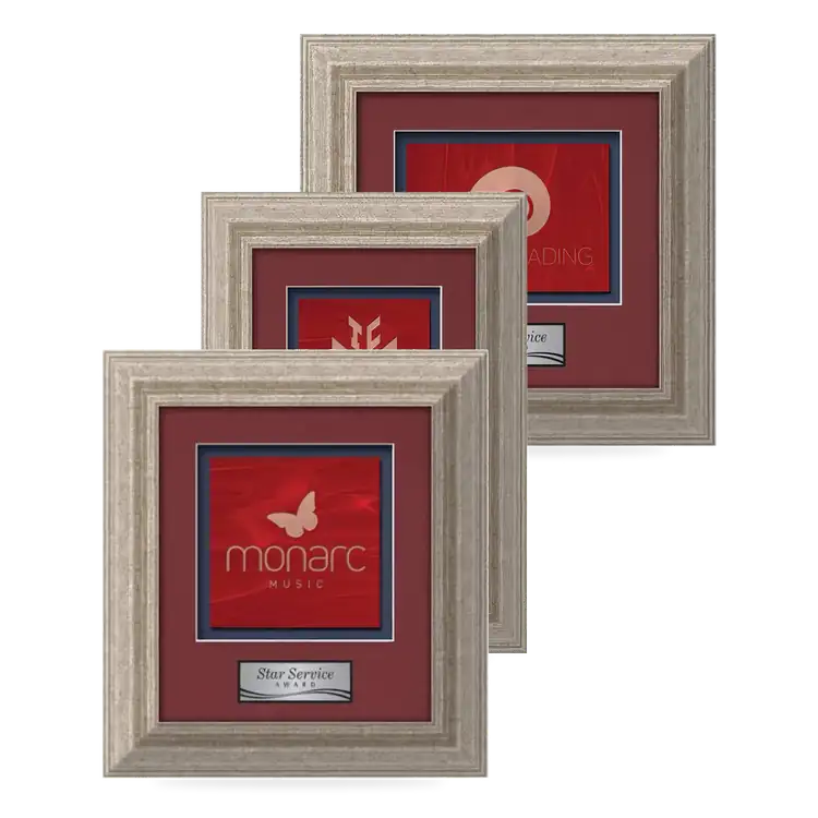 Waterleaf Terrene Stained Glass Framed Award
