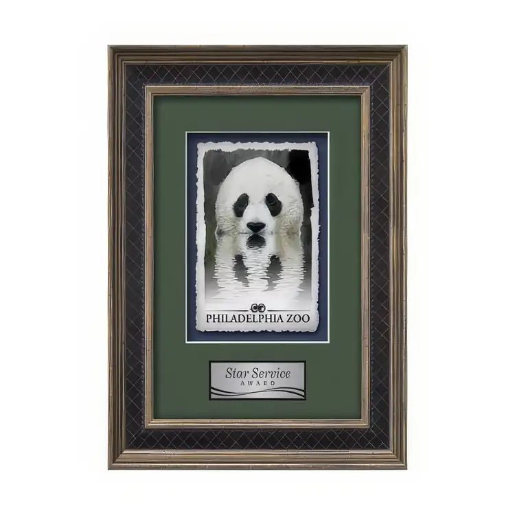 Waterleaf Tuscan Multicolor on Artisan Paper Framed Award #2