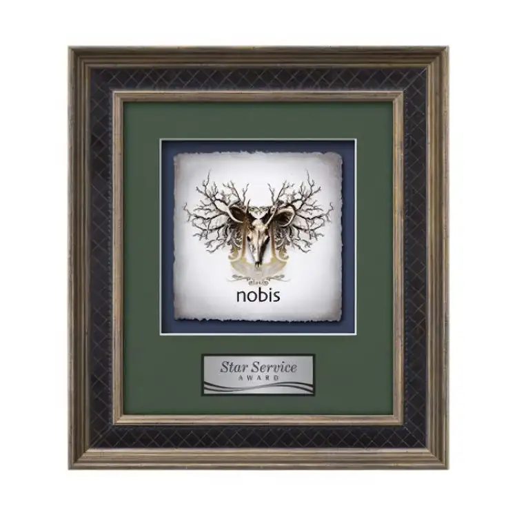 Waterleaf Tuscan Multicolor on Artisan Paper Framed Award #3